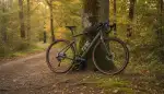Canyon Fahrrad: Performance für den Trail