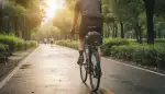 Clever transportieren: Gepäckträgertaschen für jeden Zweck