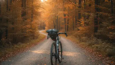 Dein Gravelbike für Bikepacking Abenteuer